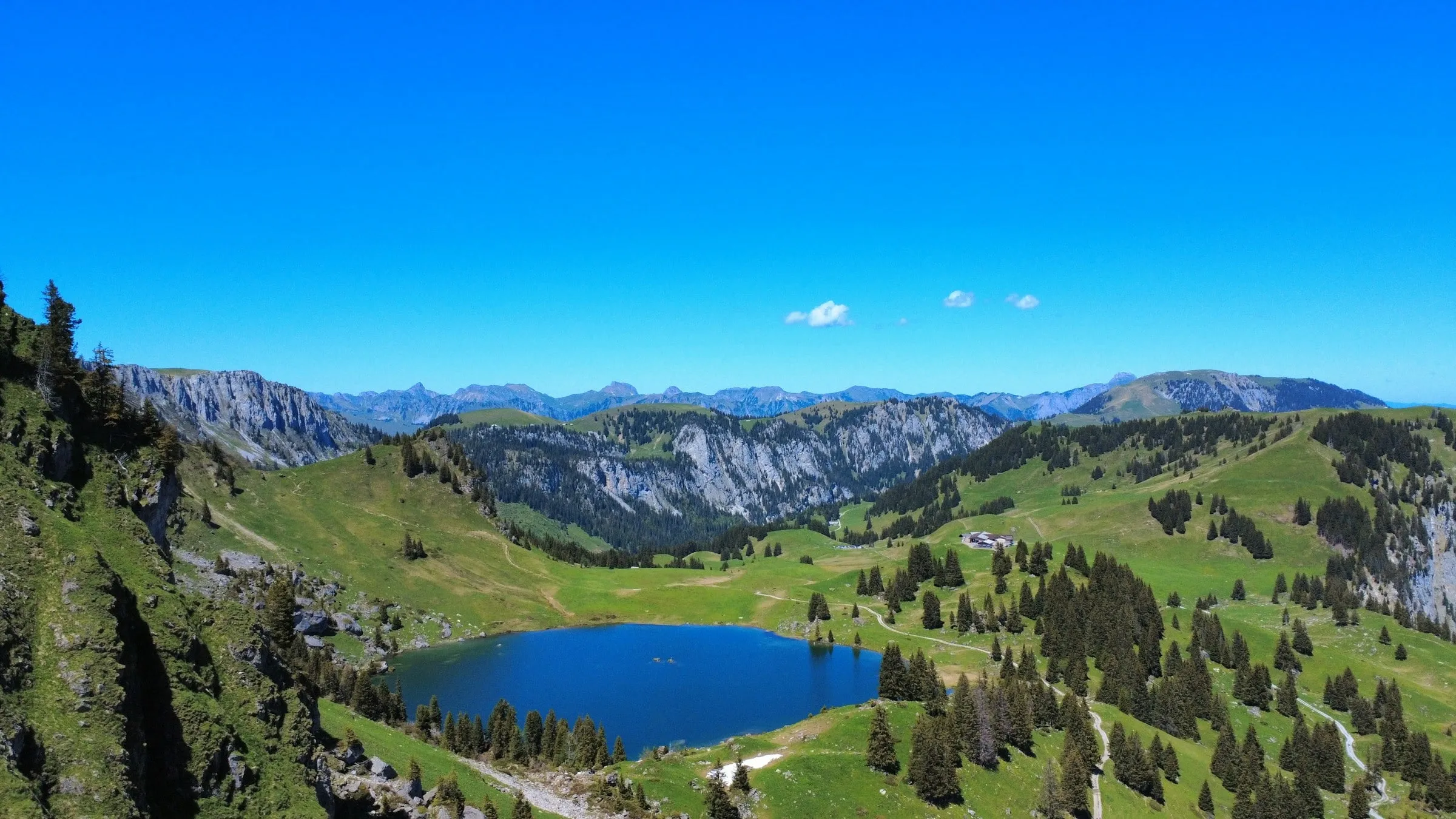Der Seebergsee in einer grünen Alpmulde, umgeben von Weiden, Tannen und Kalkfelsen
