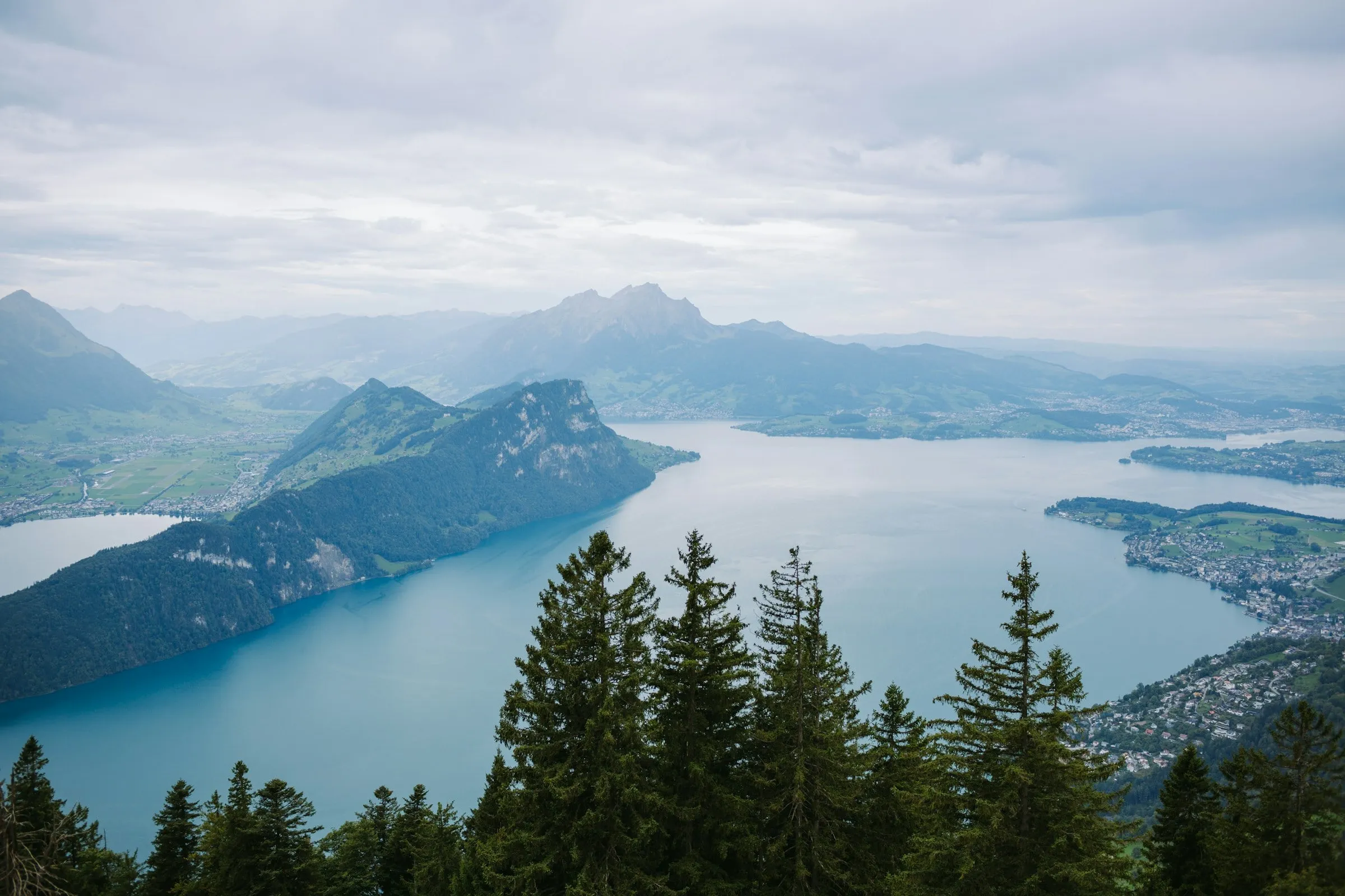 Blick von einer bewaldeten Höhe über den Vierwaldstättersee und die umliegenden Berge