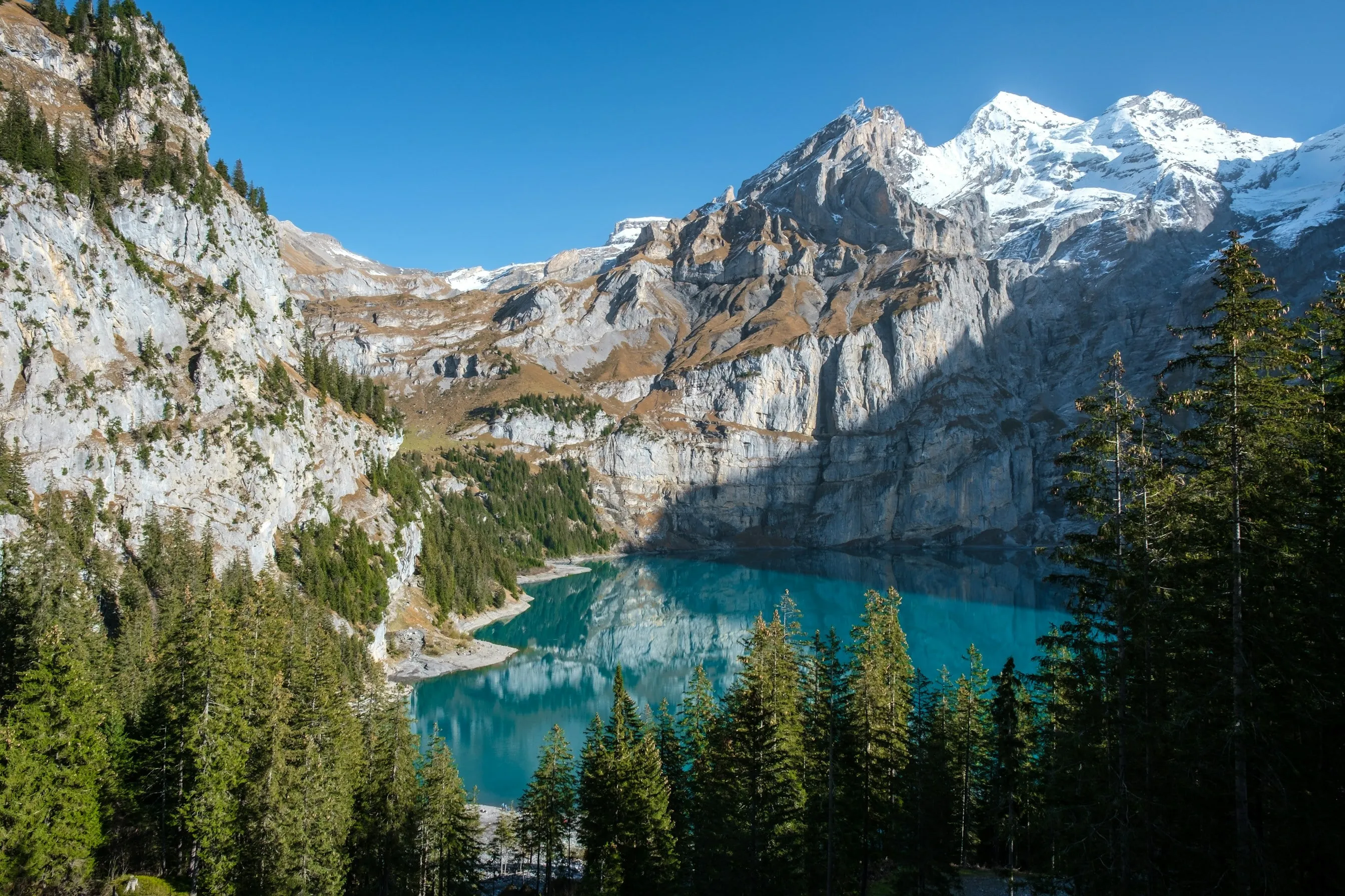 Der türkisfarbene Oeschinensee zwischen Felswänden und Tannen oberhalb von Kandersteg